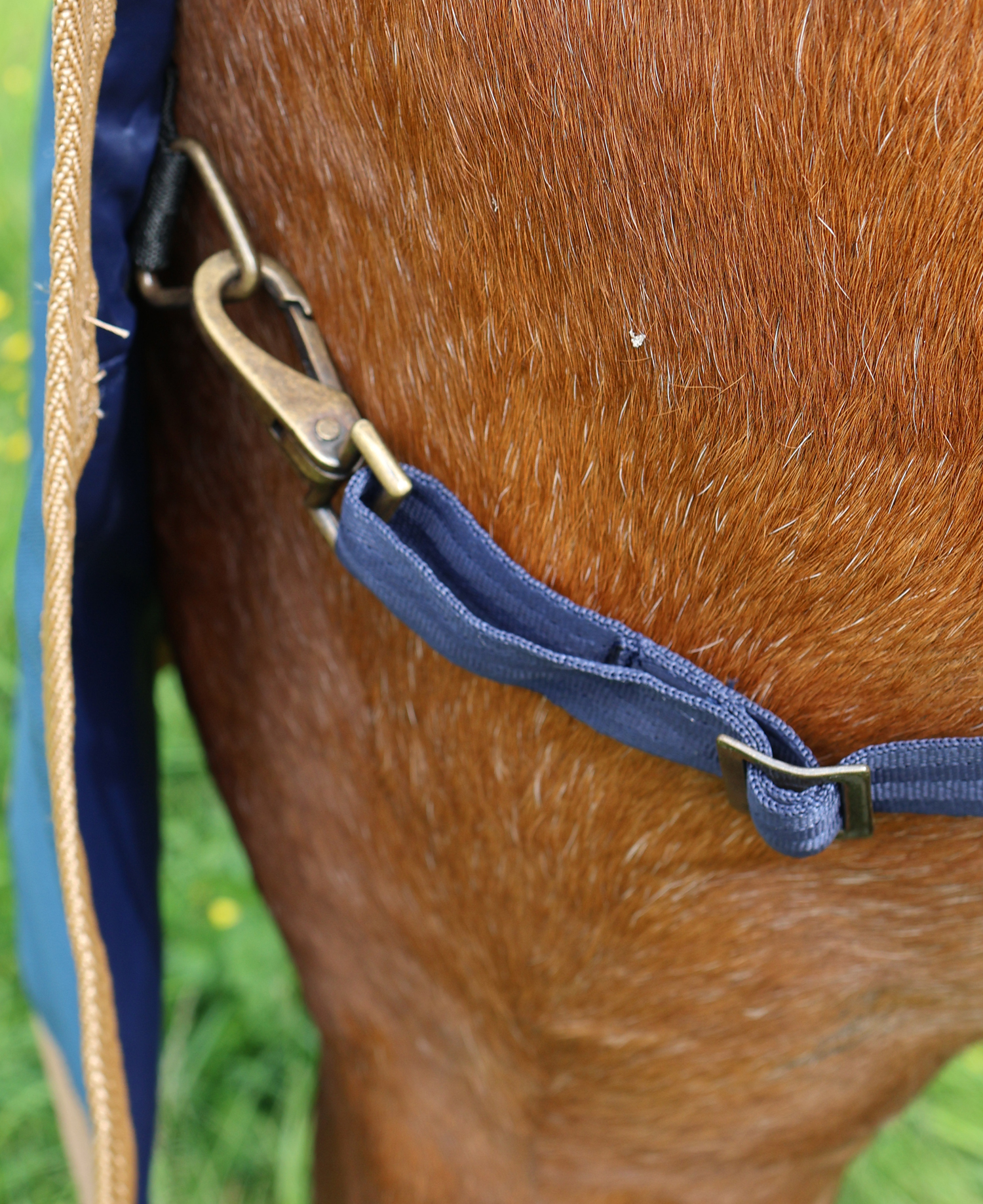 Perf 0g Standard Neck Turnout Rug - Deep Blue - Image 4
