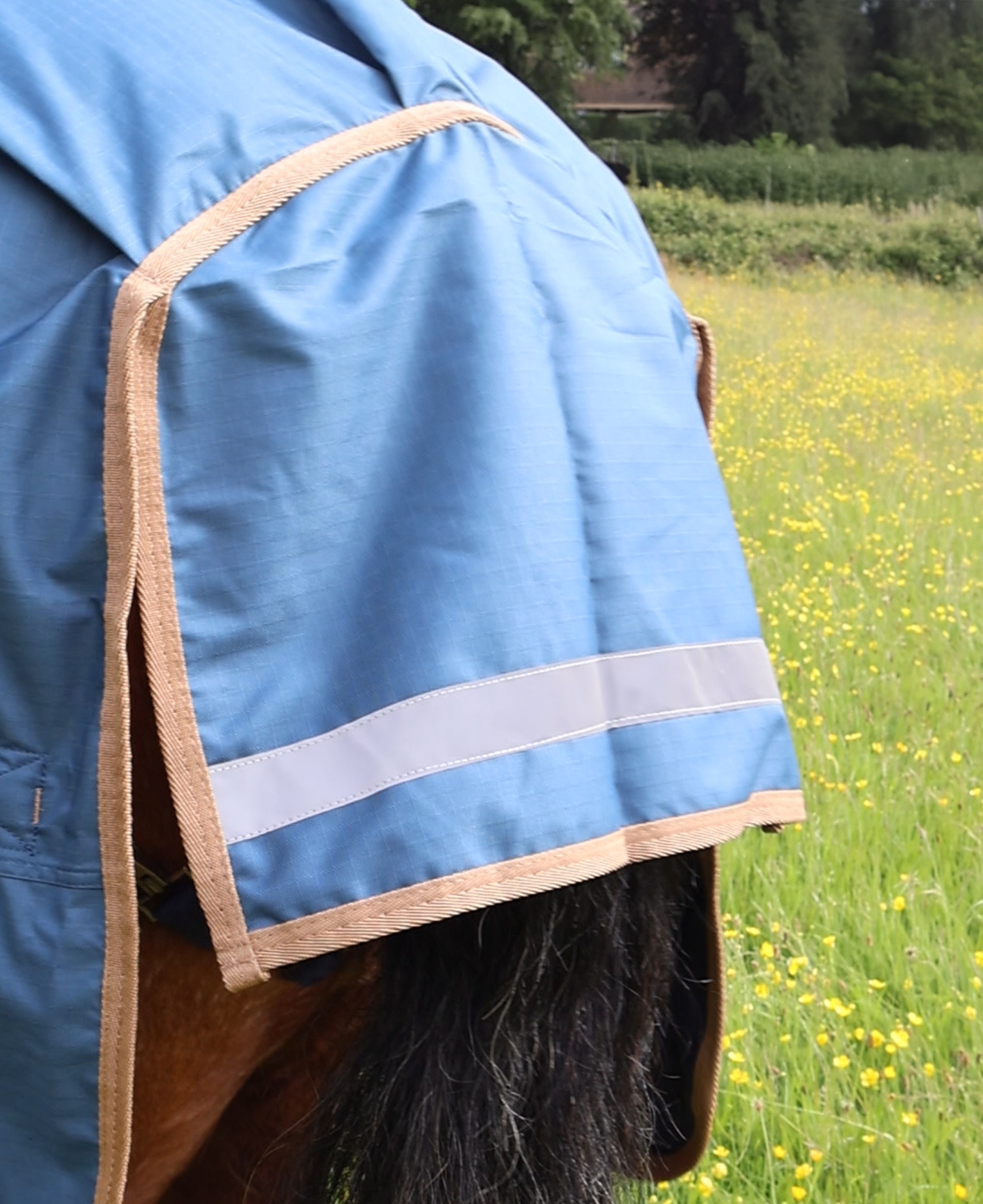 Perf 0g Standard Neck Turnout Rug - Deep Blue - Image 6