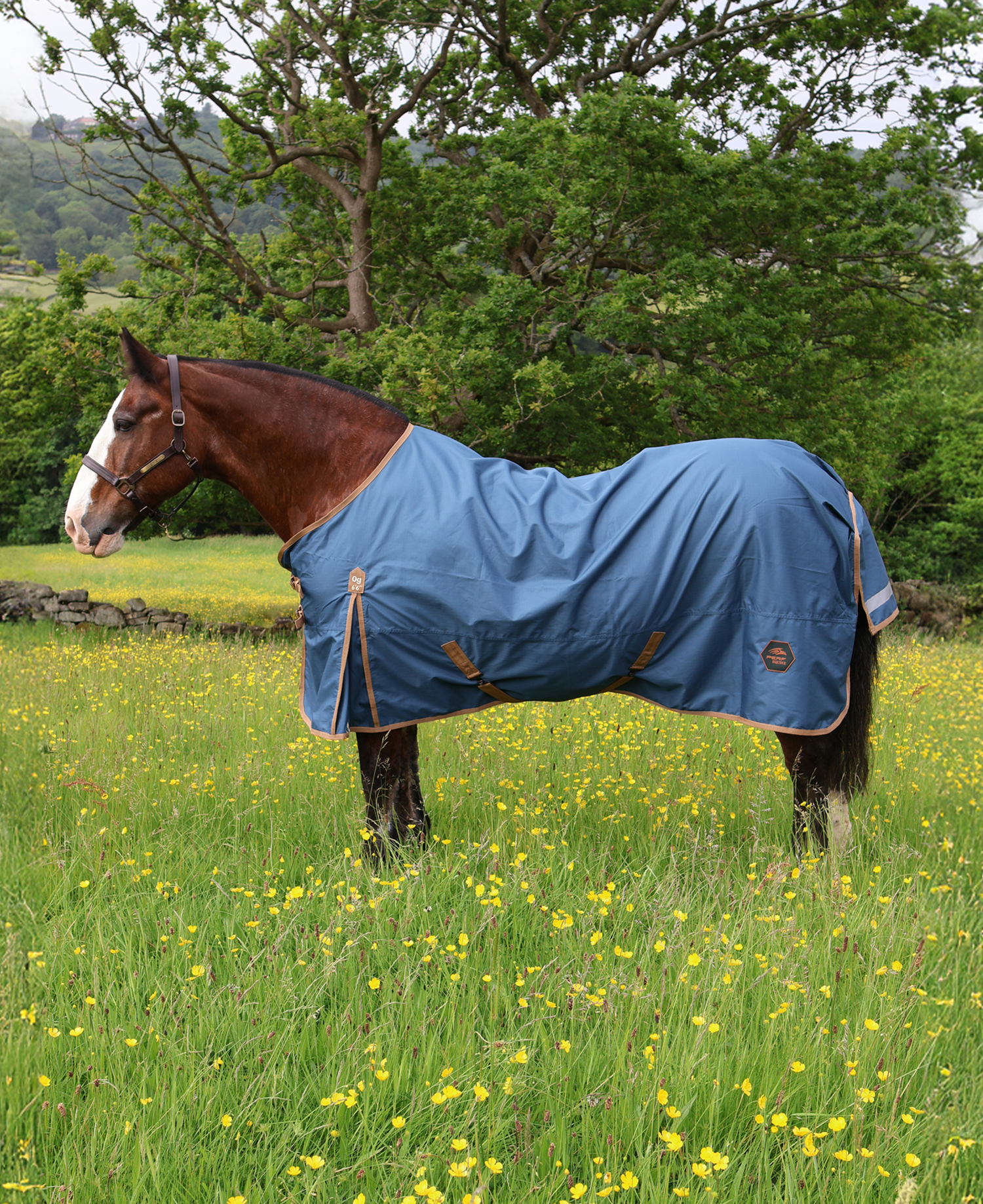 Perf 0g Standard Neck Turnout Rug - Deep Blue