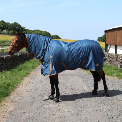 Perf 0g Combo Turnout Rug - Deep Blue