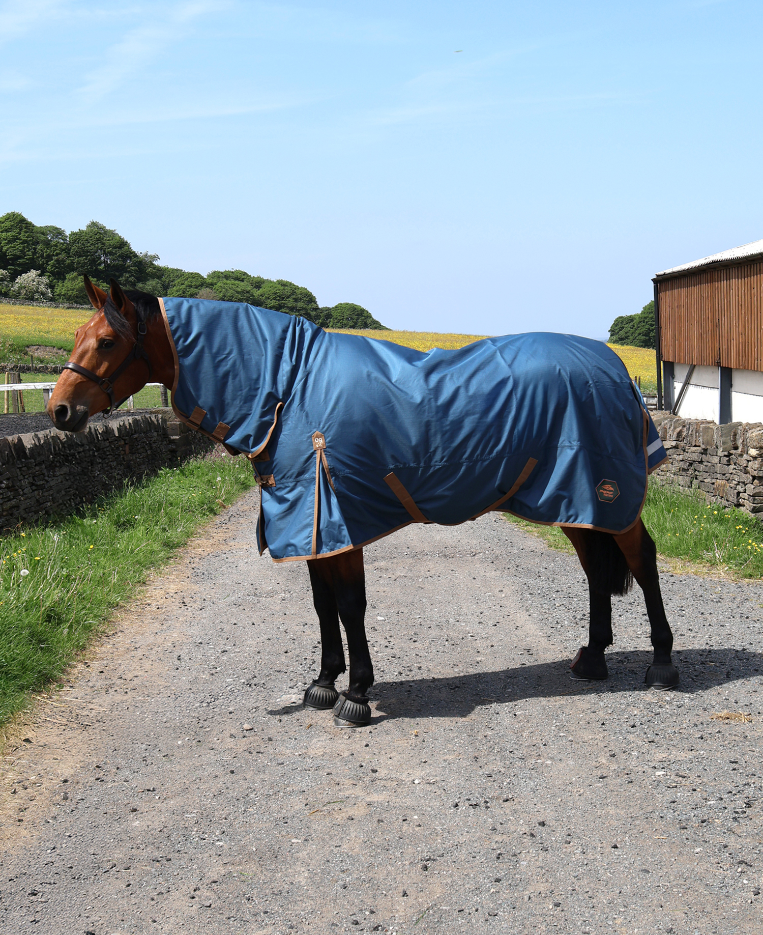 Perf 0g Combo Turnout Rug - Deep Blue