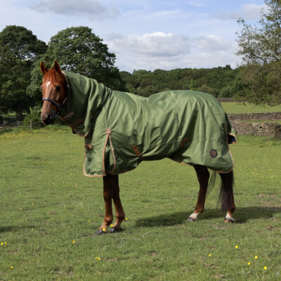 Perf 0g Combo Turnout Rug - Light Olive