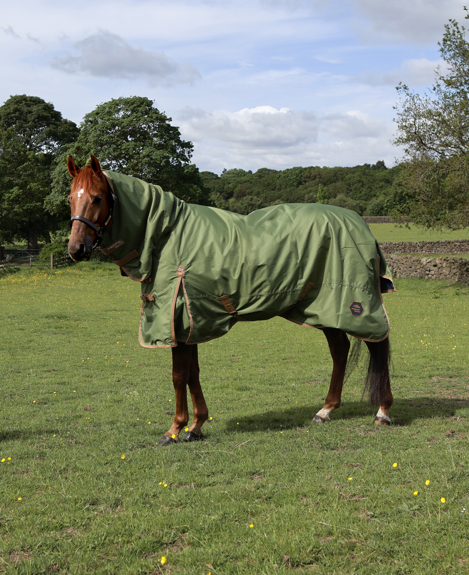 Perf 0g Combo Turnout Rug - Light Olive