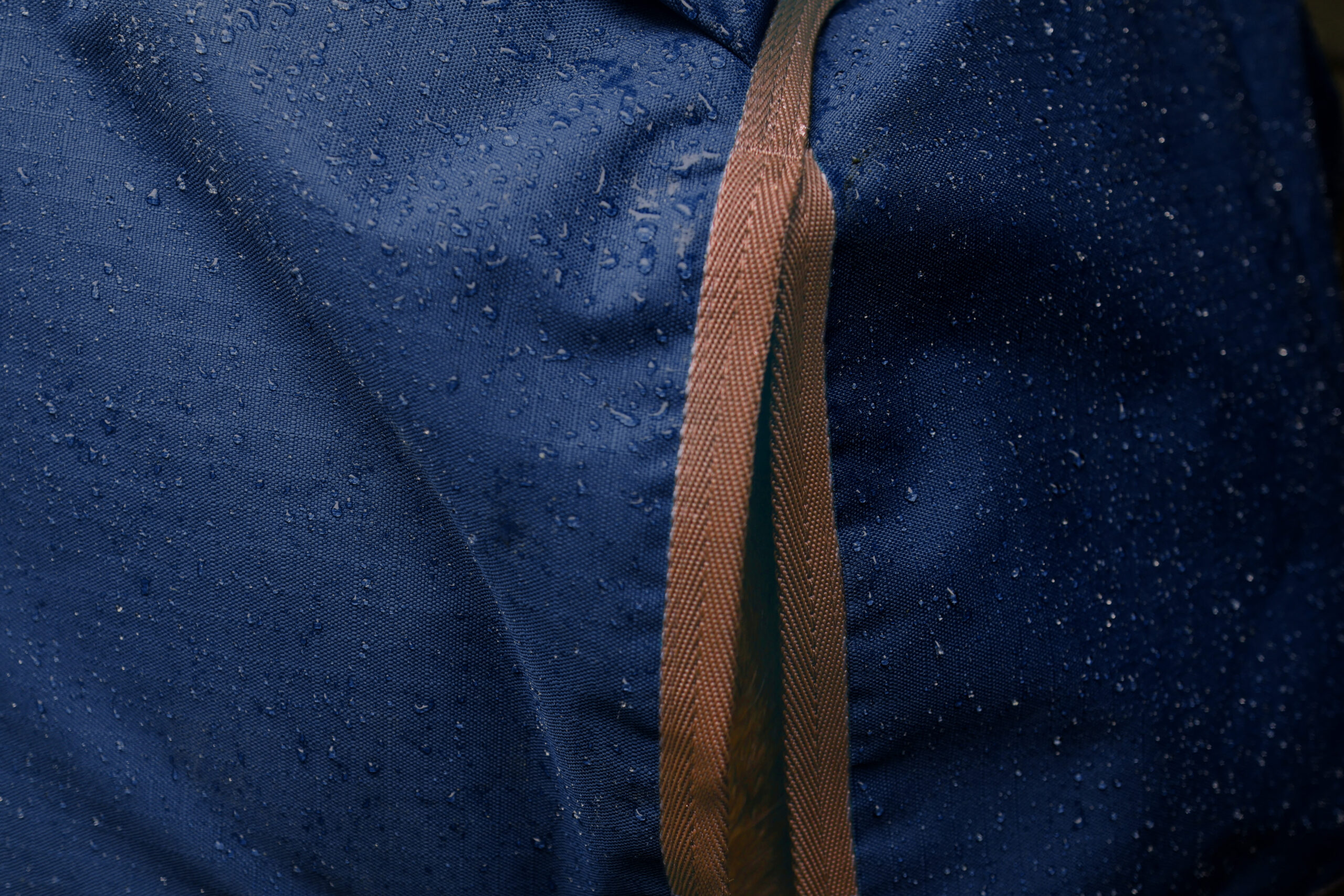 Perf 100g Standard Neck Turnout Rug - True Navy - Image 2