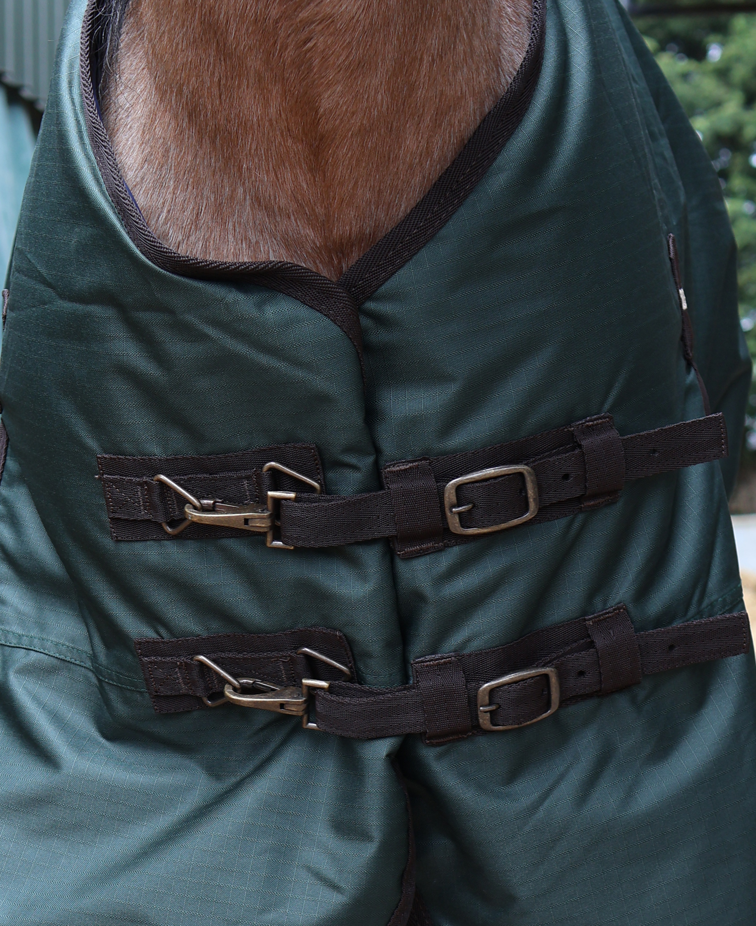 Perf 200g Standard Neck Turnout Rug - Dark Green - Image 2