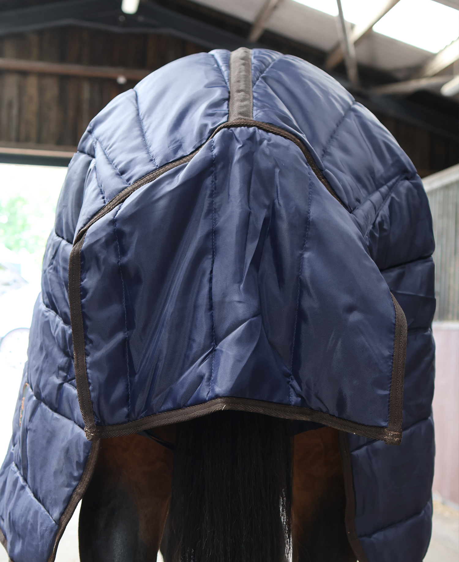 Perf Stable Rug 200g Standard Neck - Dark Navy - Image 5