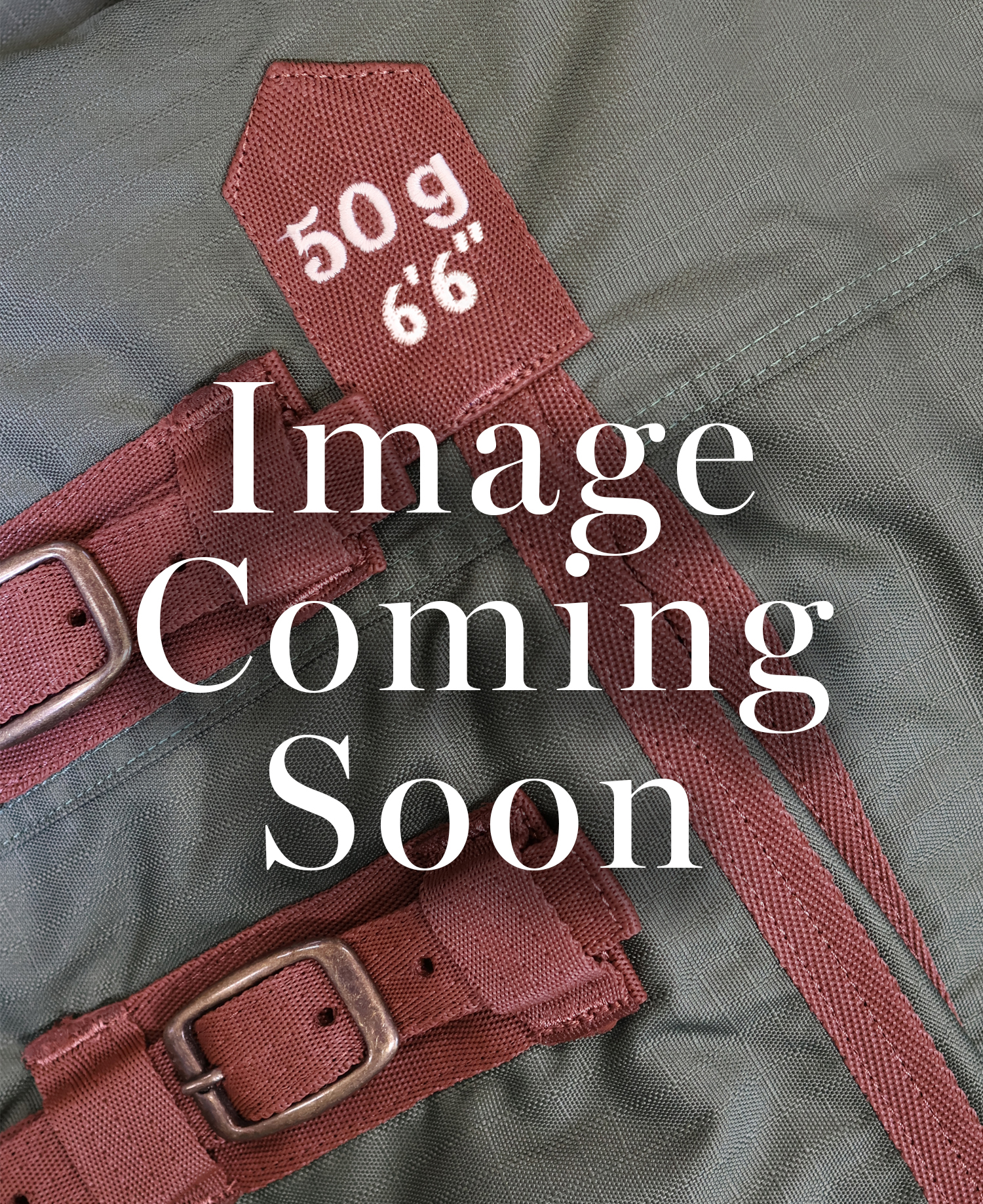 Perf 50g Standard Neck Turnout Rug - Heritage Olive