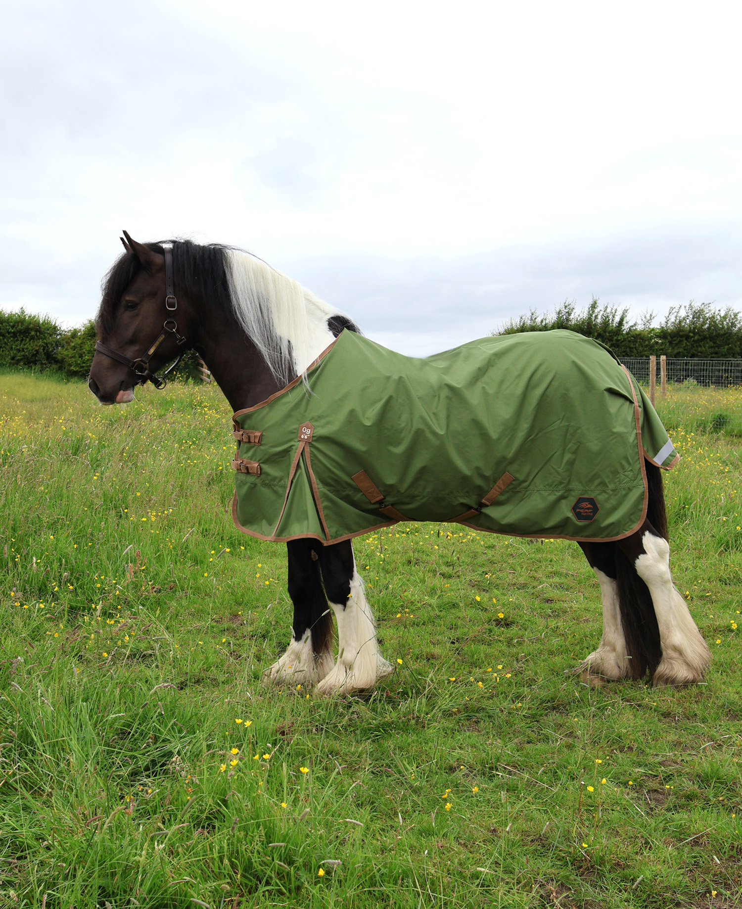 Perf 0g Standard Neck Turnout Rug - Light Olive
