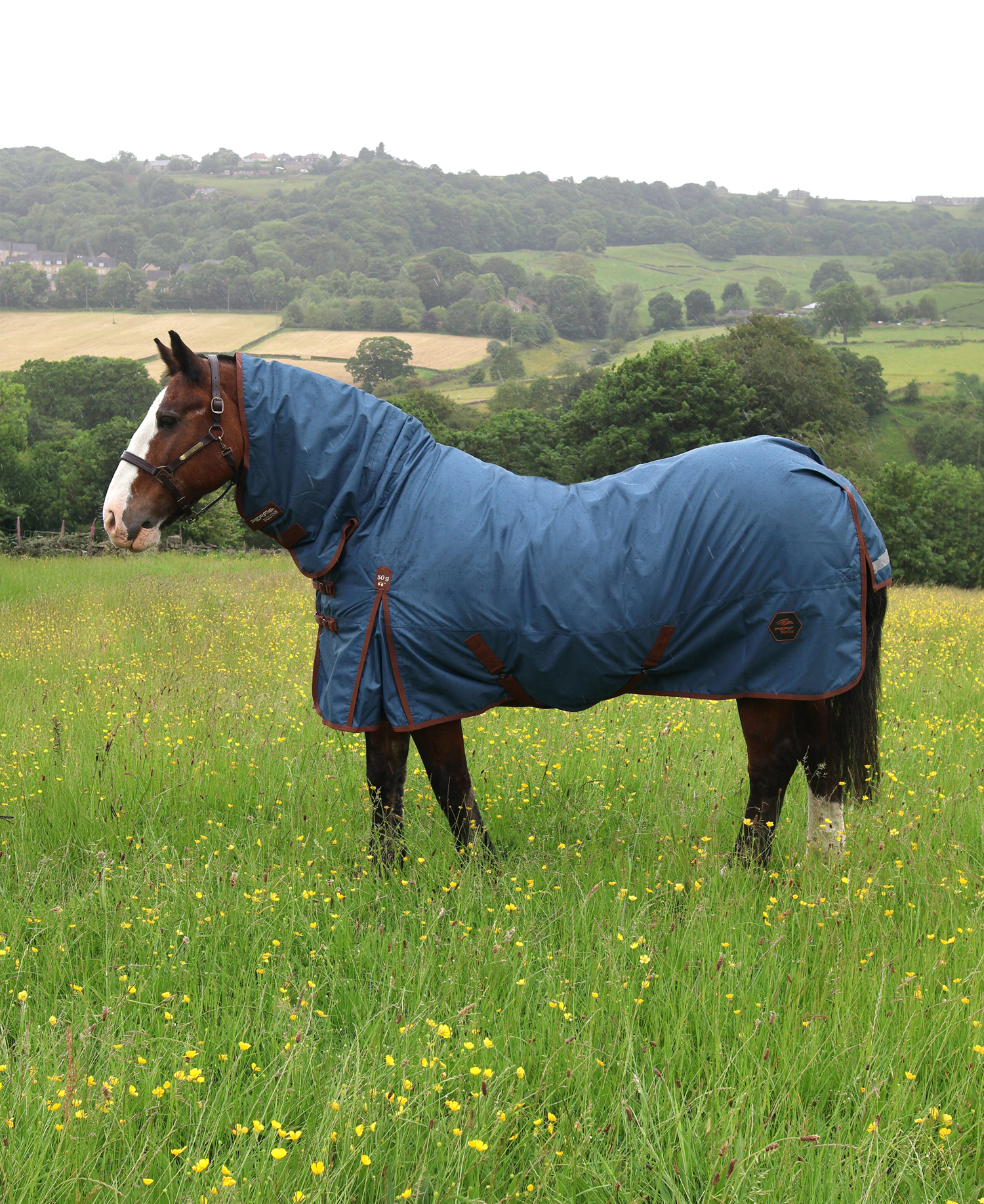 Perf 50g Combo Turnout Rug - Deep Blue
