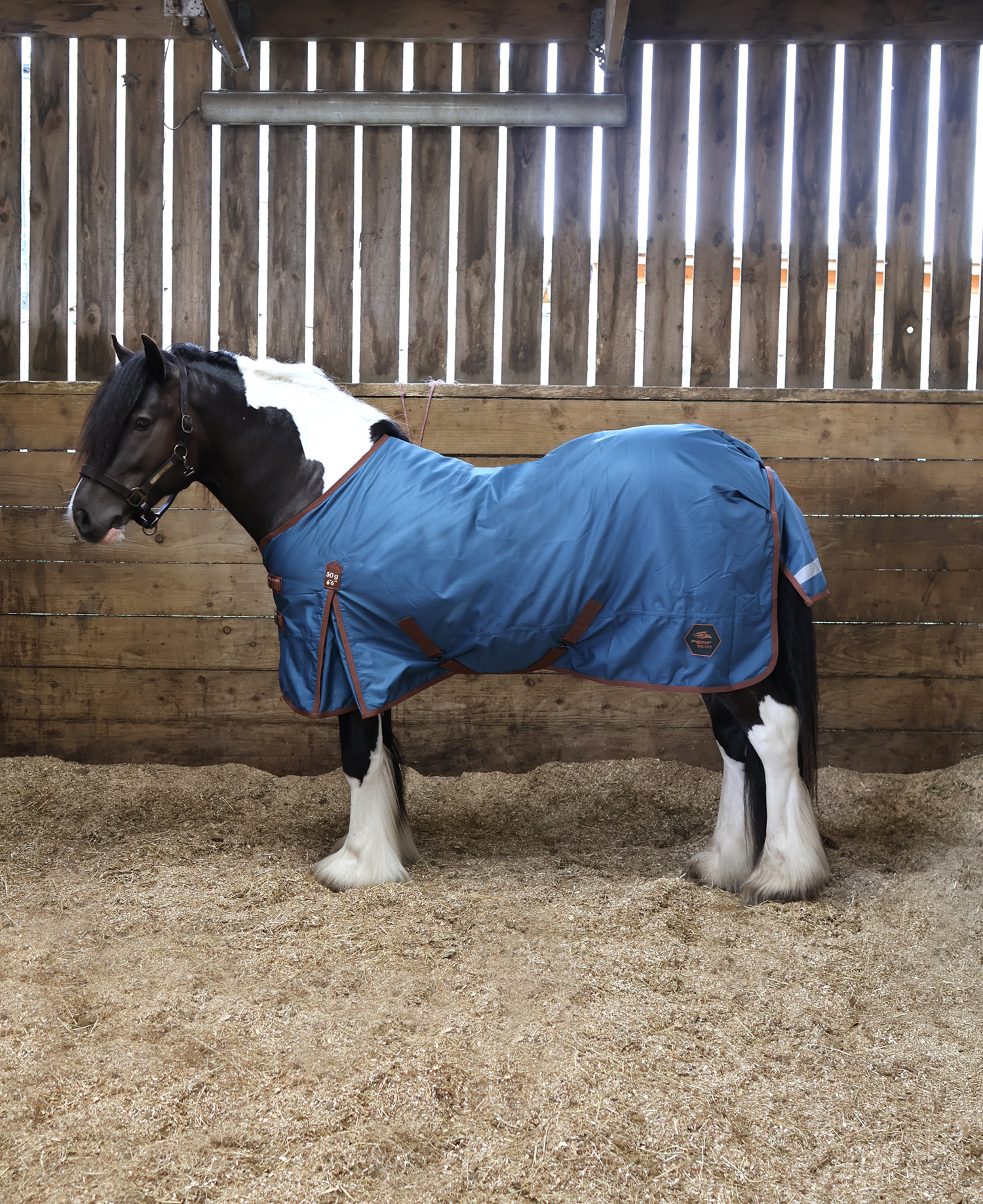 Perf 50g Standard Neck Turnout Rug - Deep Blue