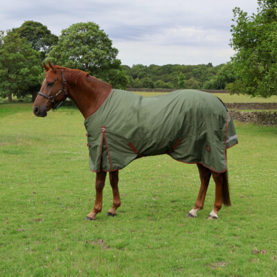 Perf 50g Standard Neck Turnout Rug - Heritage Olive