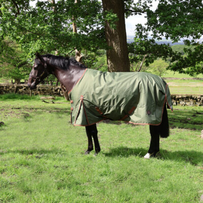 Perf 100g Standard Neck Turnout Rug - Heritage Olive