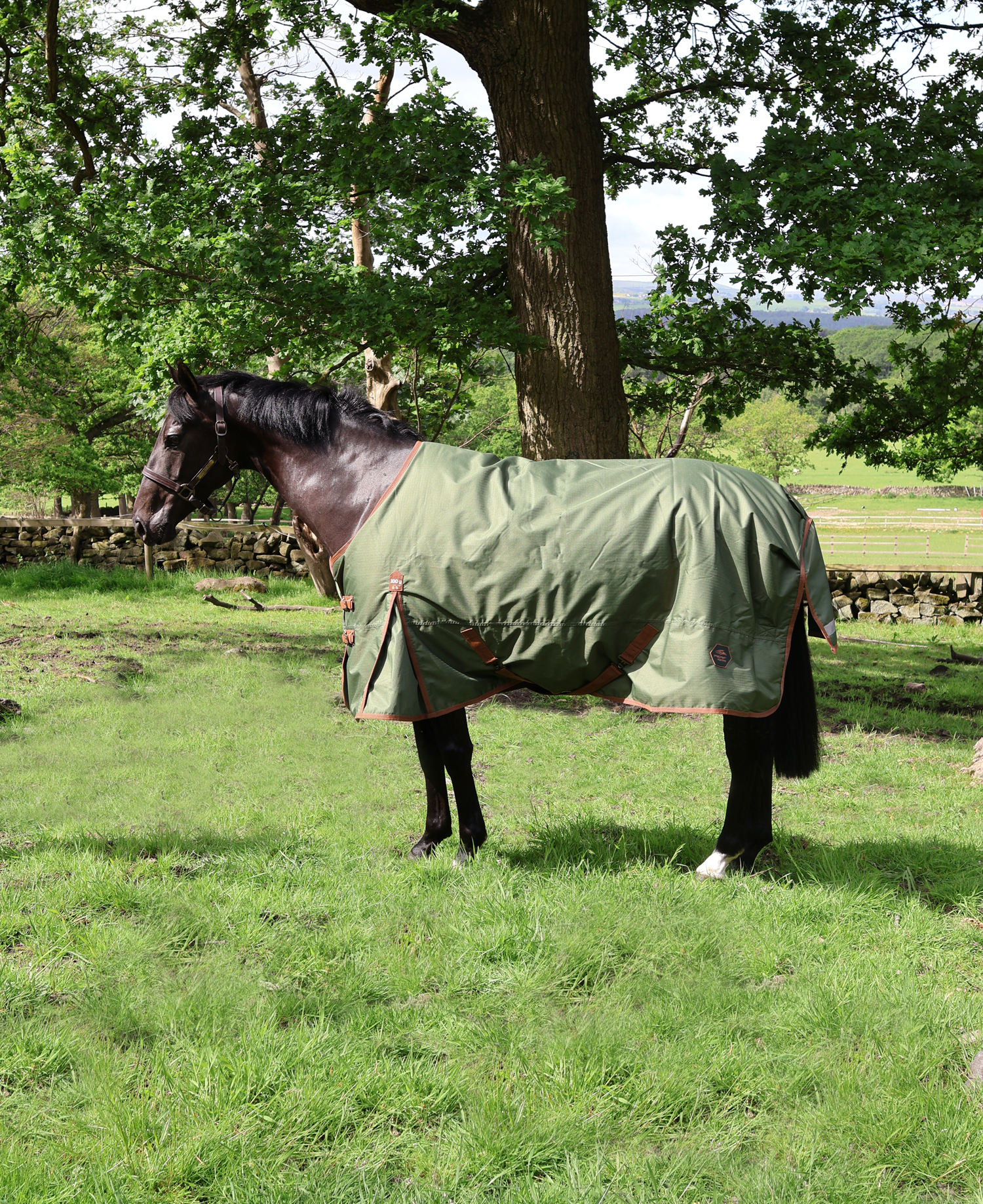 Perf 100g Standard Neck Turnout Rug - Heritage Olive