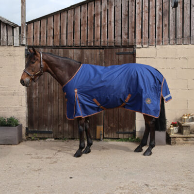 Perf 100g Standard Neck Turnout Rug - True Navy