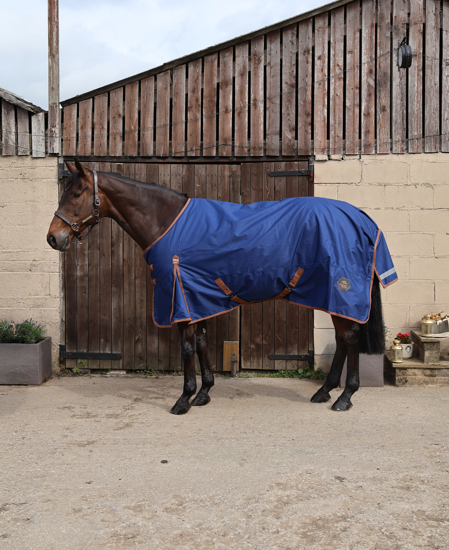 Perf 100g Standard Neck Turnout Rug - True Navy