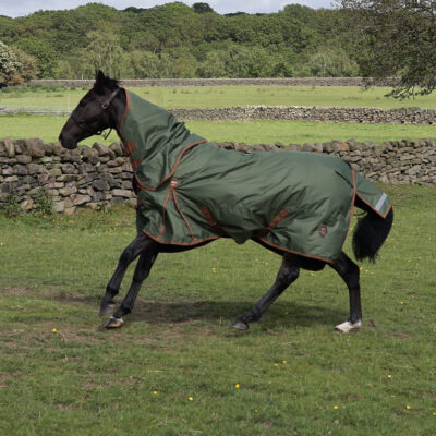 Perf 100g Detachable Neck Turnout Rug - Heritage Olive