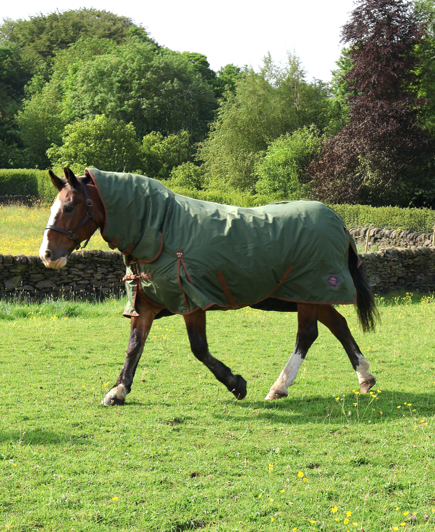 Perf 100g Combo Turnout Rug - Heritage Olive