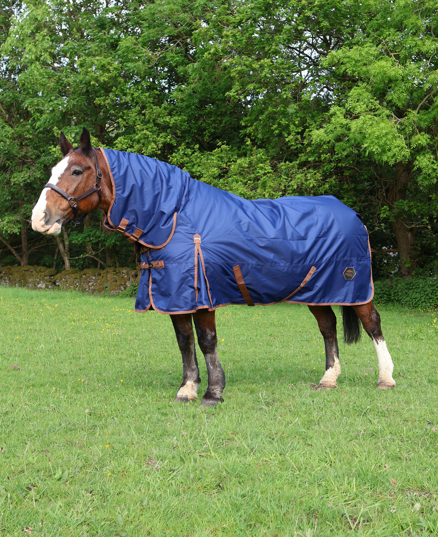 Perf 100g Combo Turnout Rug - True Navy