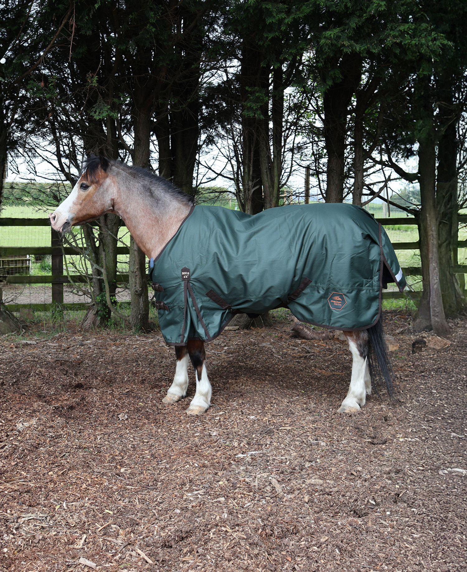 Perf 200g Standard Neck Turnout Rug - Dark Green