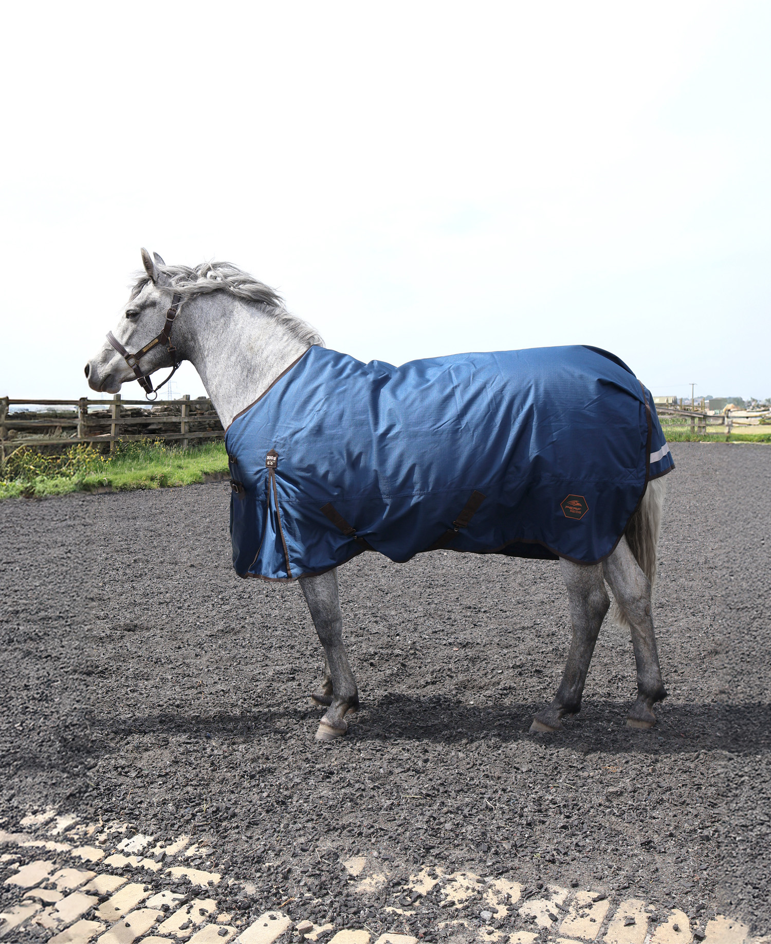 Perf 200g Standard Neck Turnout Rug - Dark Navy