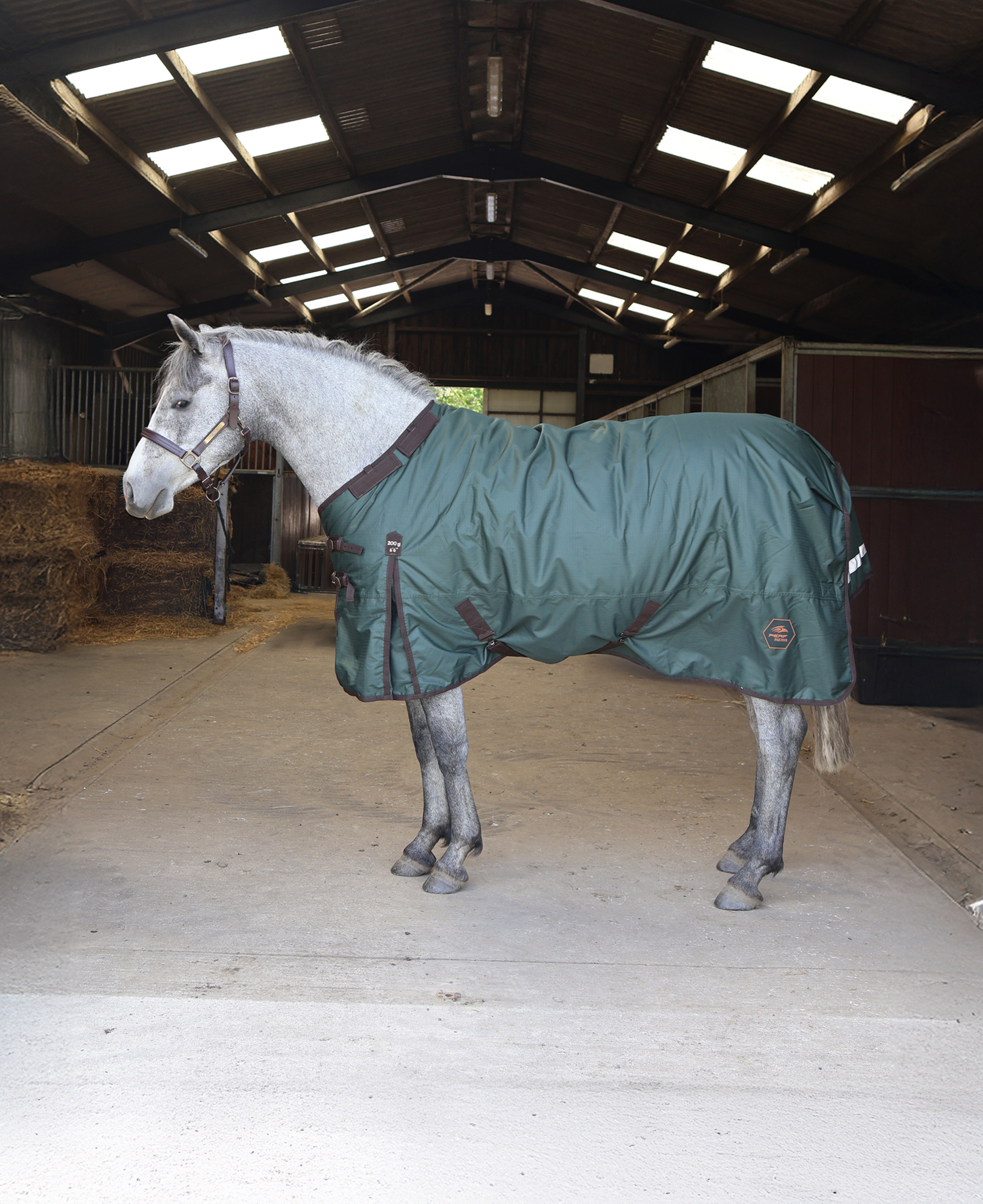 Perf 200g Detachable Neck Turnout Rug - Dark Green