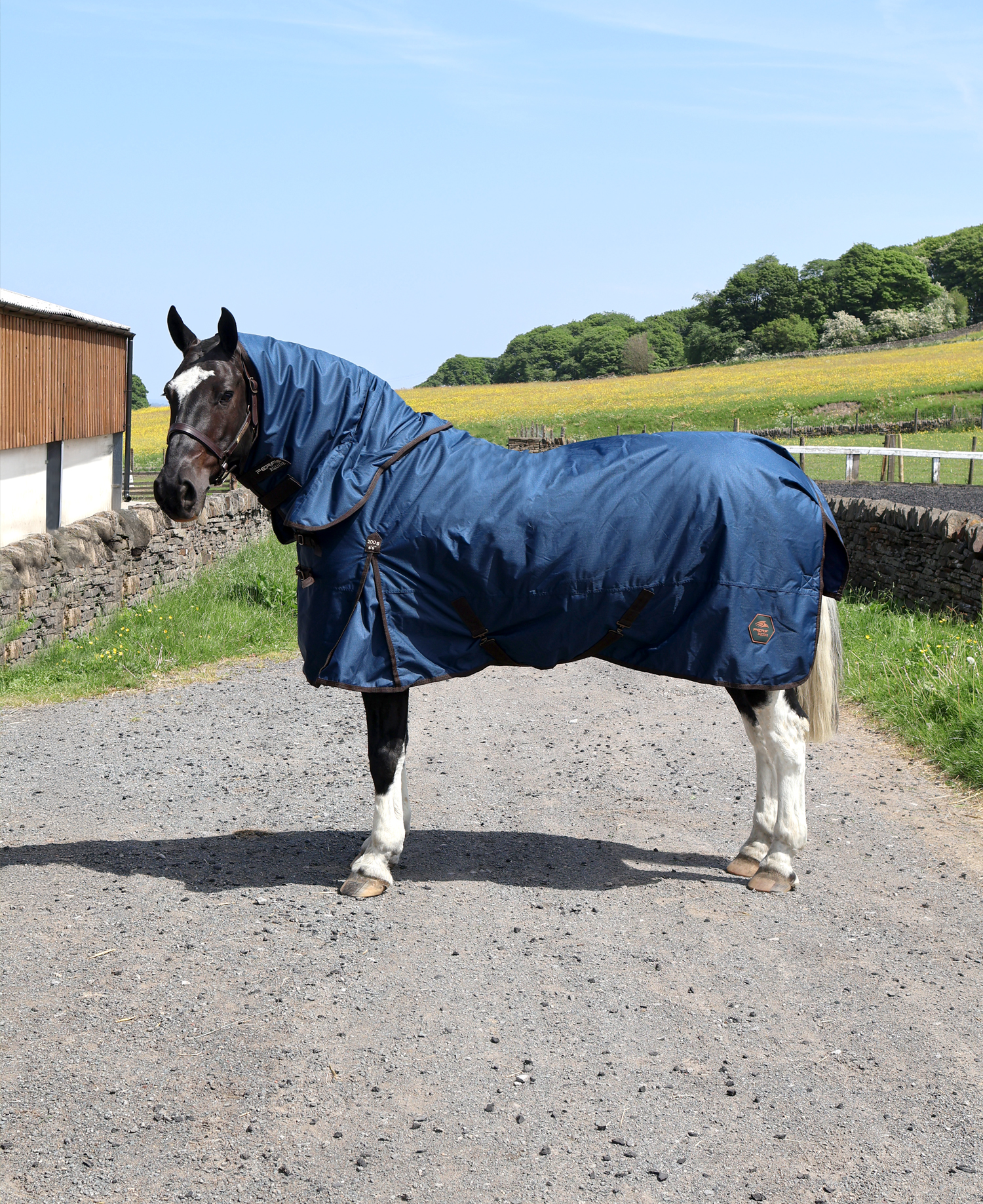 Perf 200g Detachable Neck Turnout Rug - Dark Navy
