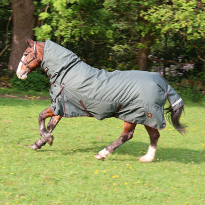 Perf 200g Combo Turnout Rug - Dark Green