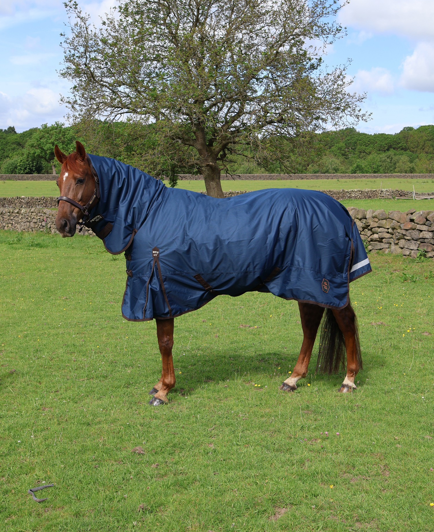 Perf 200g Combo Turnout Rug - Dark Navy