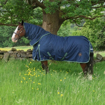 Perf 300g Detachable Neck Turnout Rug - Dark Navy