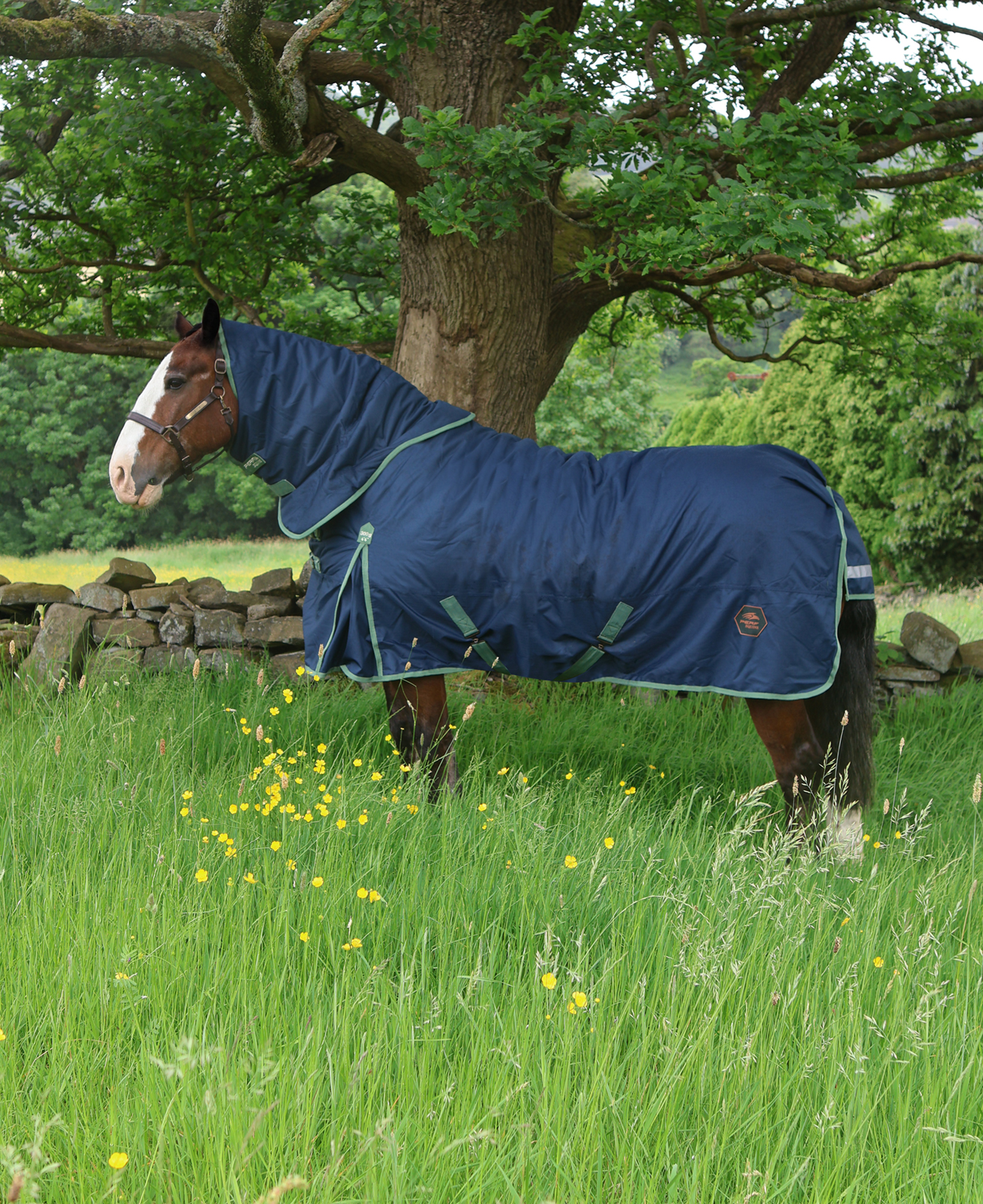 Perf 300g Detachable Neck Turnout Rug - Dark Navy