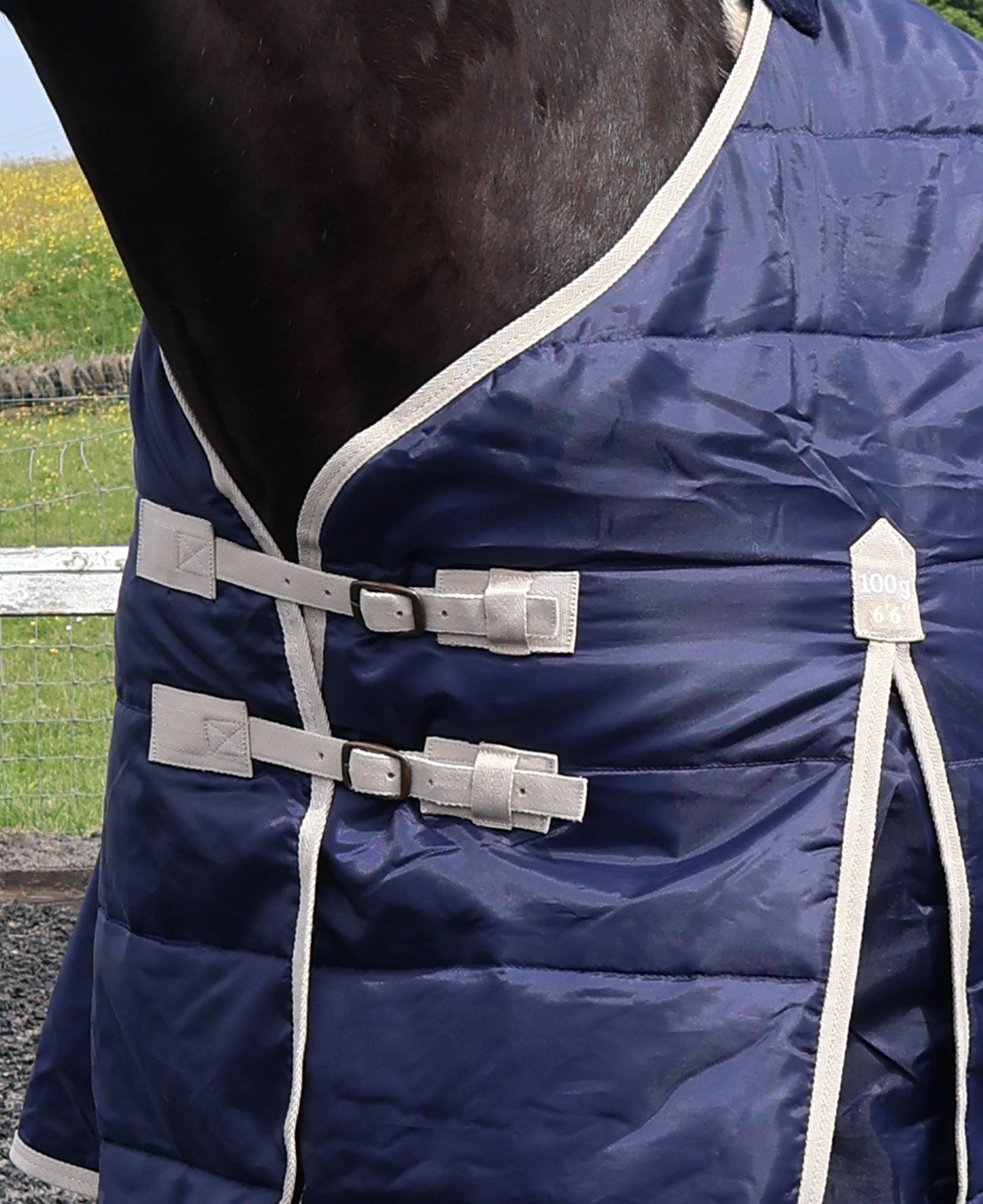 Perf Stable Rug 100g Standard Neck - Dark Navy - Image 3